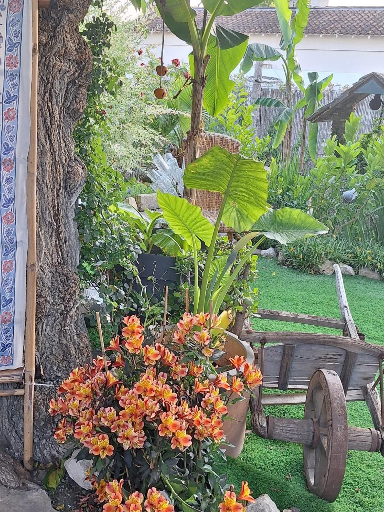 Site Paradis Rue Colibri Авиньон Экстерьер фото