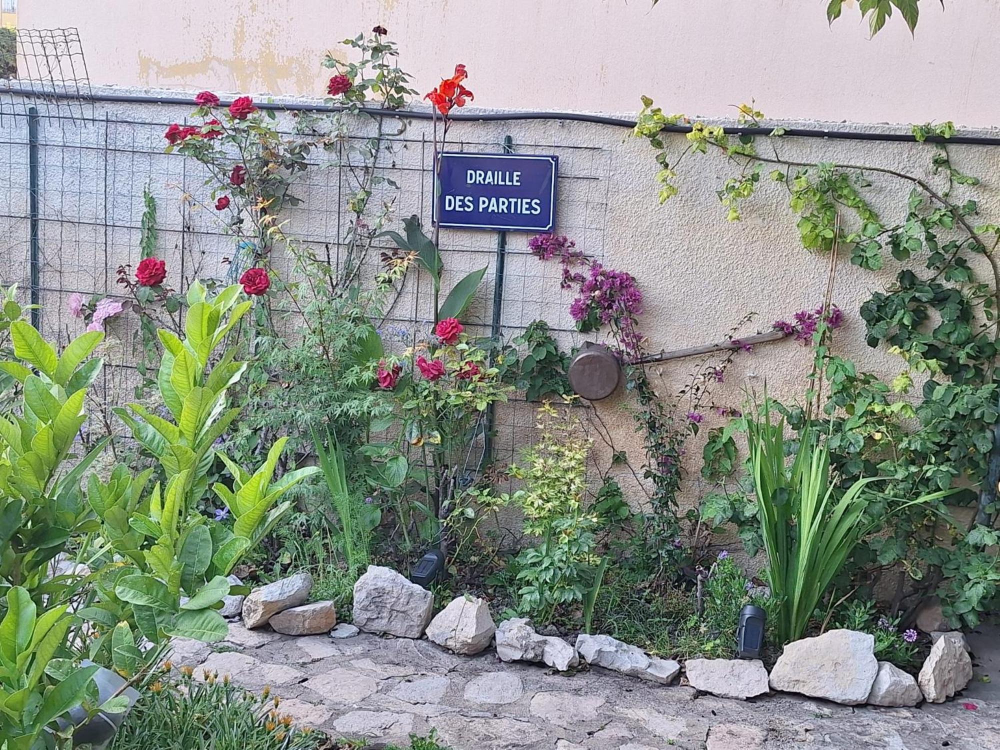Site Paradis Rue Colibri Авиньон Экстерьер фото